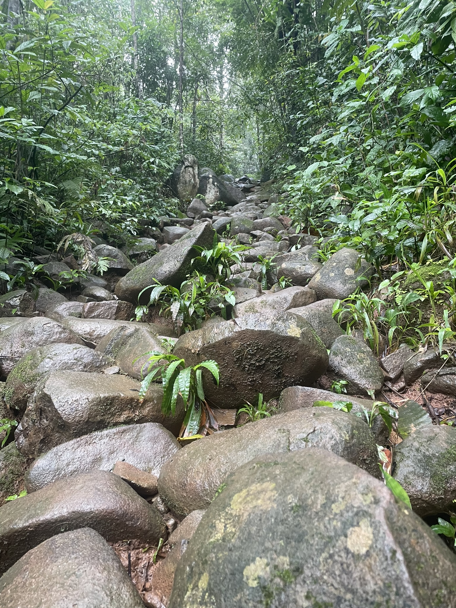 Cột thứ 71